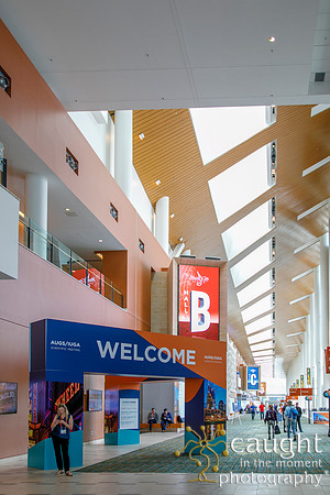 017 AUGS-IUGA 2019 Nashville