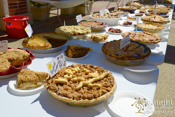 017 KCRW 6th Annual Pie Contest Fowler Museum UCLA