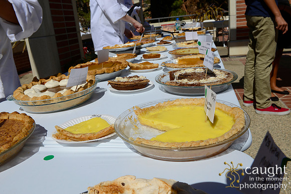 028 KCRW 6th Annual Pie Contest Fowler Museum UCLA