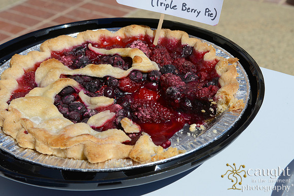 038 KCRW 6th Annual Pie Contest Fowler Museum UCLA