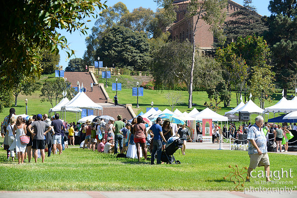 048 KCRW 6th Annual Pie Contest Fowler Museum UCLA
