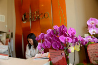 12 Hotel Indigo Grand Opening