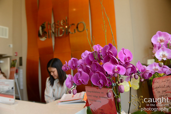 12 Hotel Indigo Grand Opening