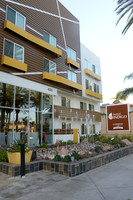 03 Hotel Indigo Grand Opening
