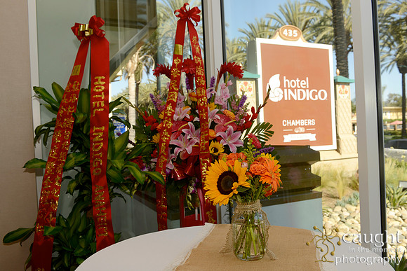 05 Hotel Indigo Grand Opening