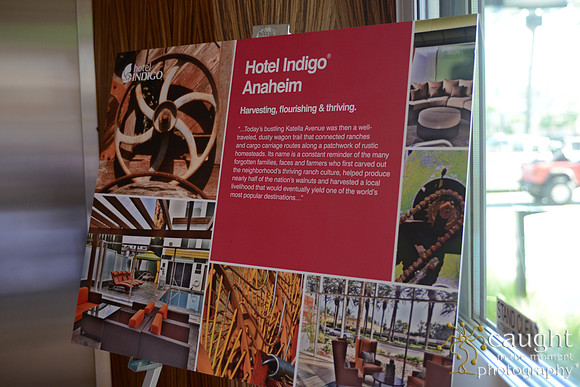36 Hotel Indigo Grand Opening