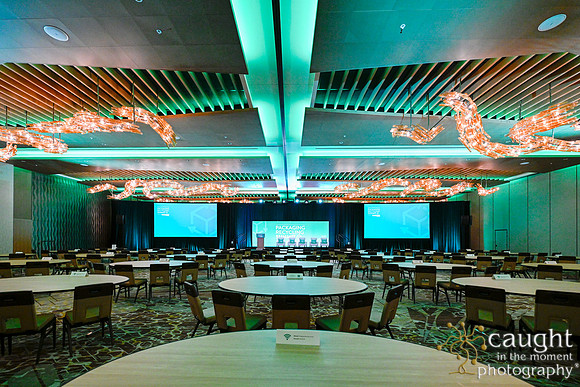 808 Packaging Recycling Summit 2024