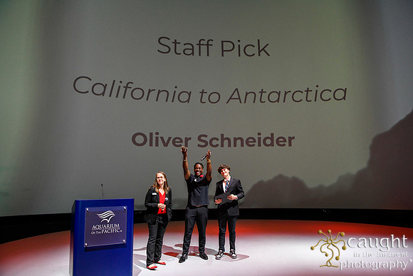 108 High Tide Film Festival 2024