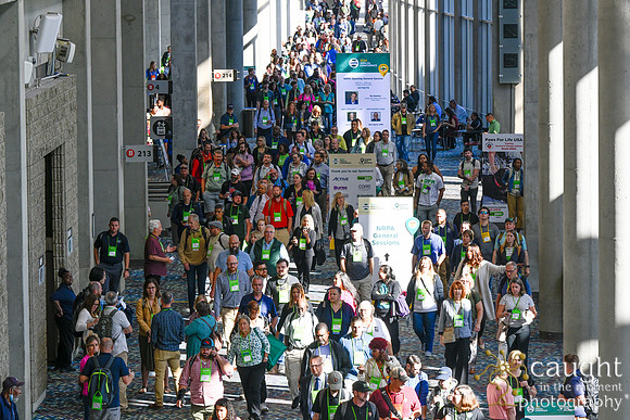 2382 NRPA Conference 2024 Atlanta