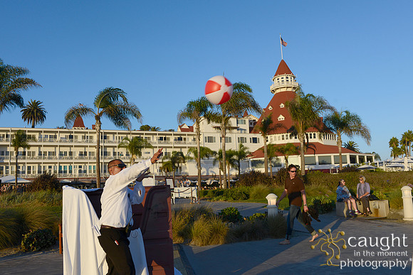 069 Dermatology Forum for Veterinarians 2014 Hotel del Coronado
