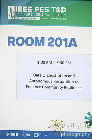 1603 IEEE PES TandD Anaheim 2024