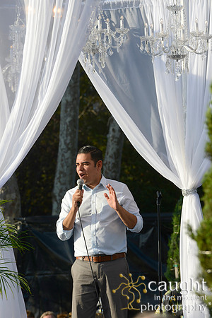 116 MTW Broadway in the Park 2014