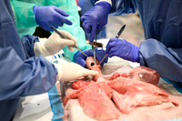 858 STS2024-Hands-On Courses
