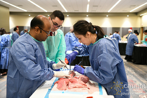 857 STS2024-Hands-On Courses