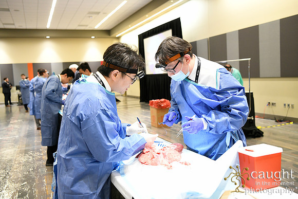 860 STS2024-Hands-On Courses