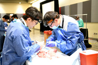 861 STS2024-Hands-On Courses
