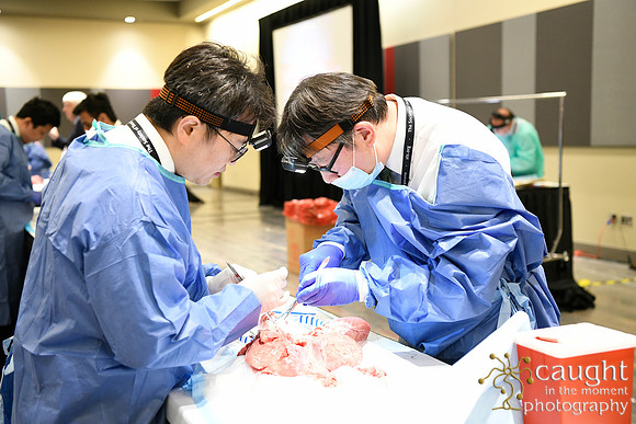 861 STS2024-Hands-On Courses