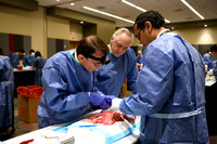 862 STS2024-Hands-On Courses