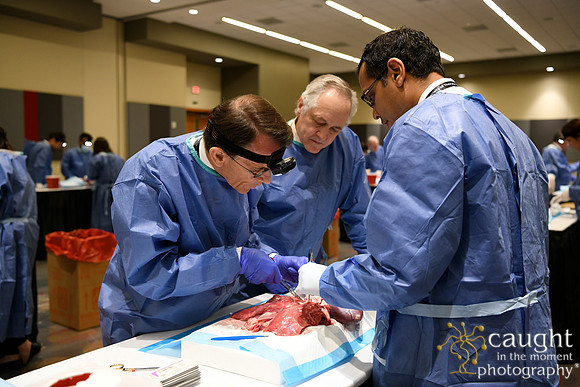862 STS2024-Hands-On Courses