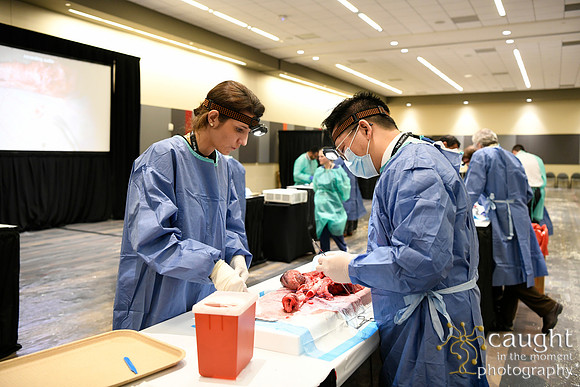864 STS2024-Hands-On Courses
