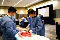 863 STS2024-Hands-On Courses