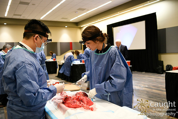 863 STS2024-Hands-On Courses