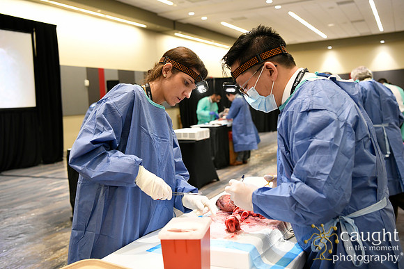 865 STS2024-Hands-On Courses