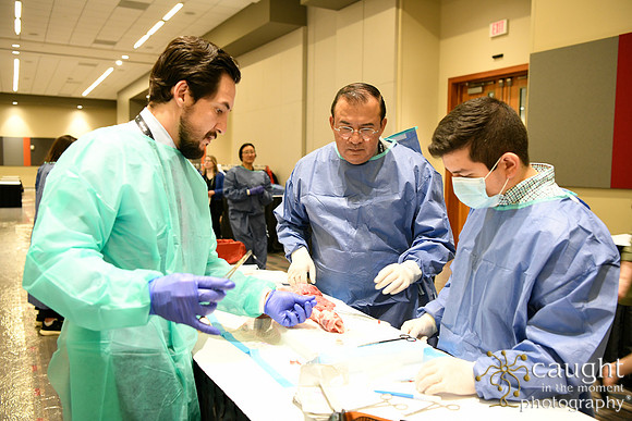 867 STS2024-Hands-On Courses