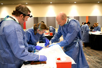 868 STS2024-Hands-On Courses