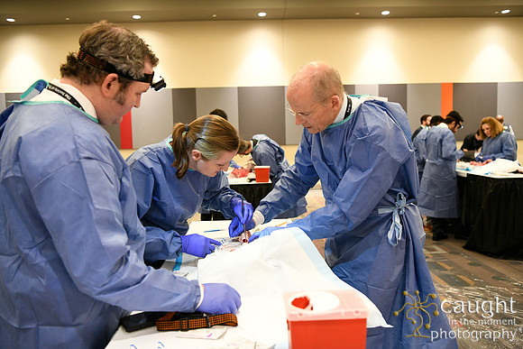 868 STS2024-Hands-On Courses