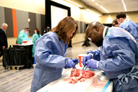 869 STS2024-Hands-On Courses