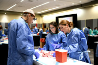 871 STS2024-Hands-On Courses
