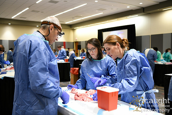 871 STS2024-Hands-On Courses