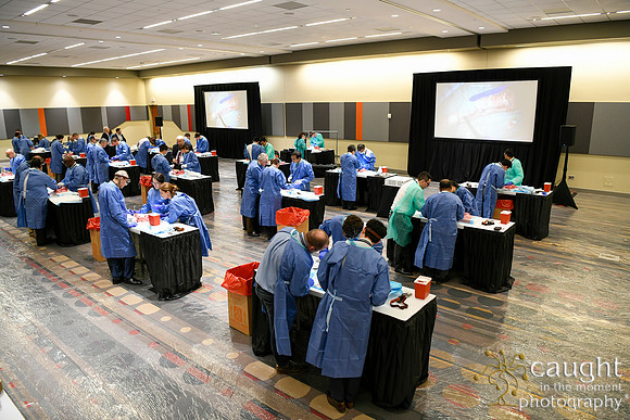 873 STS2024-Hands-On Courses