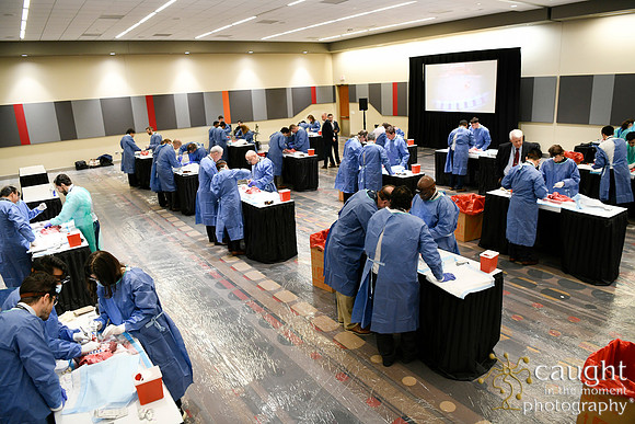 875 STS2024-Hands-On Courses