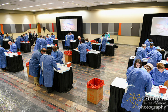 874 STS2024-Hands-On Courses