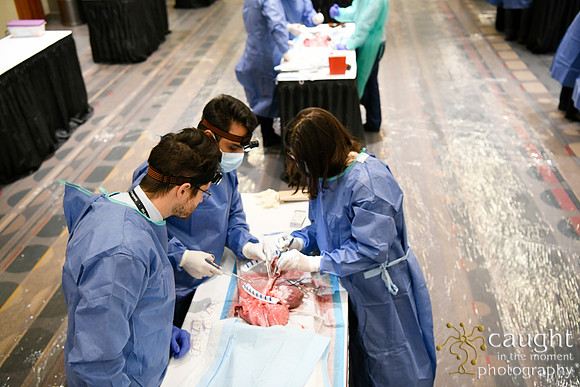 876 STS2024-Hands-On Courses