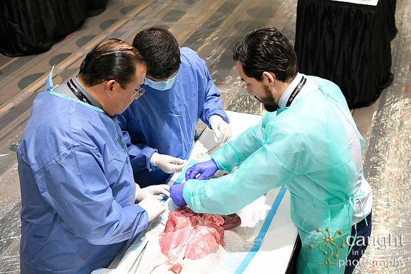 877 STS2024-Hands-On Courses