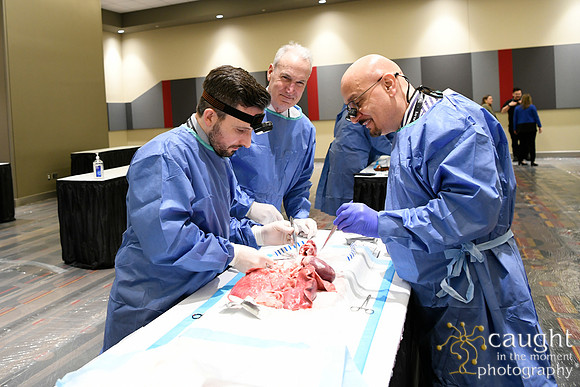 878 STS2024-Hands-On Courses