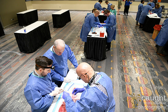 879 STS2024-Hands-On Courses