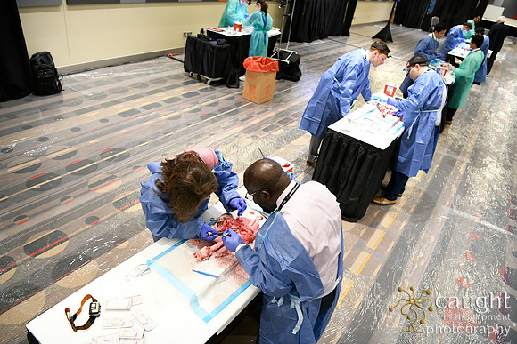 880 STS2024-Hands-On Courses