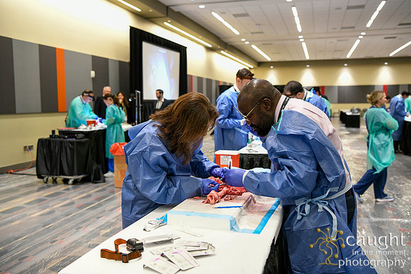 881 STS2024-Hands-On Courses