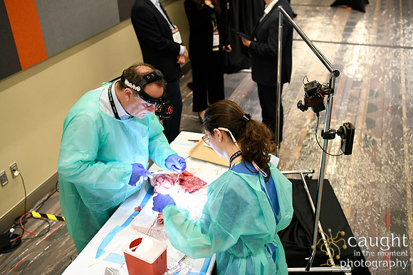 883 STS2024-Hands-On Courses