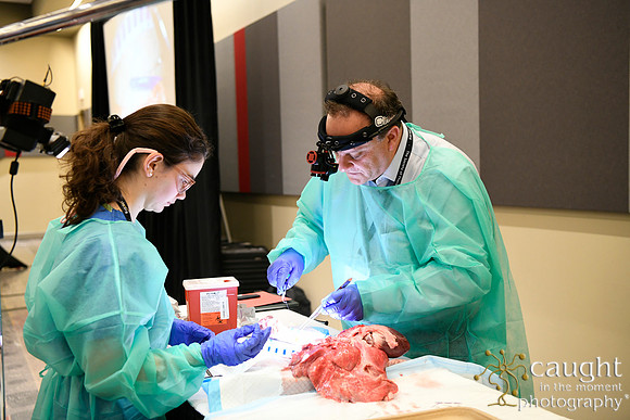 884 STS2024-Hands-On Courses