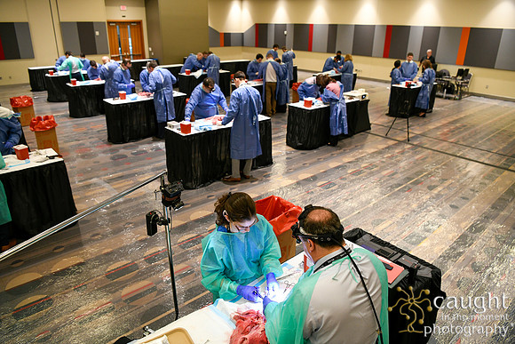 885 STS2024-Hands-On Courses