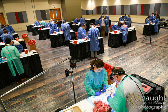886 STS2024-Hands-On Courses