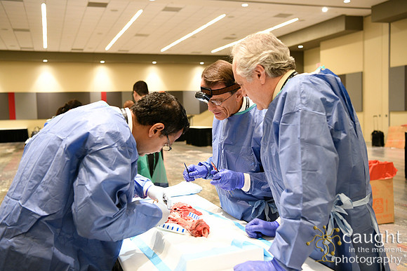 888 STS2024-Hands-On Courses