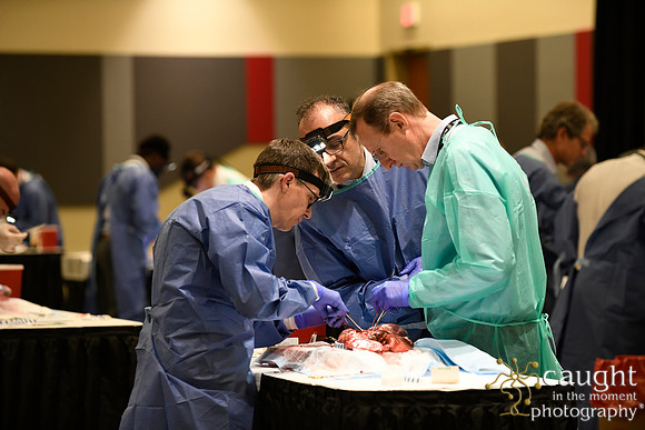 891 STS2024-Hands-On Courses