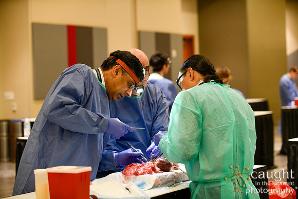 892 STS2024-Hands-On Courses