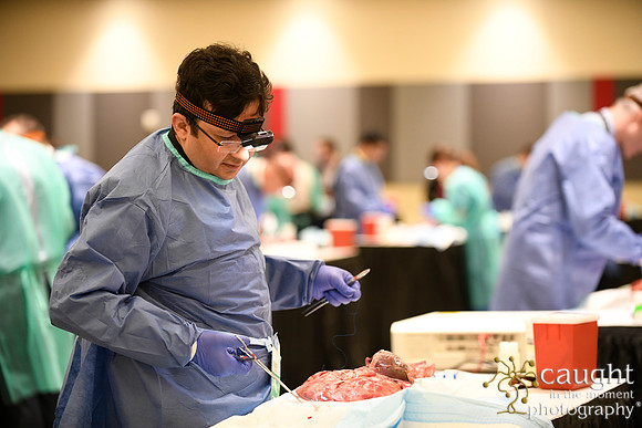 894 STS2024-Hands-On Courses